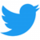 2021 Twitter logo - blue.png