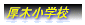 y싅Z